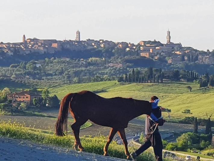 Chambre d’hôte pour 2 personnes, avec jardin et vue à Sienne - 2