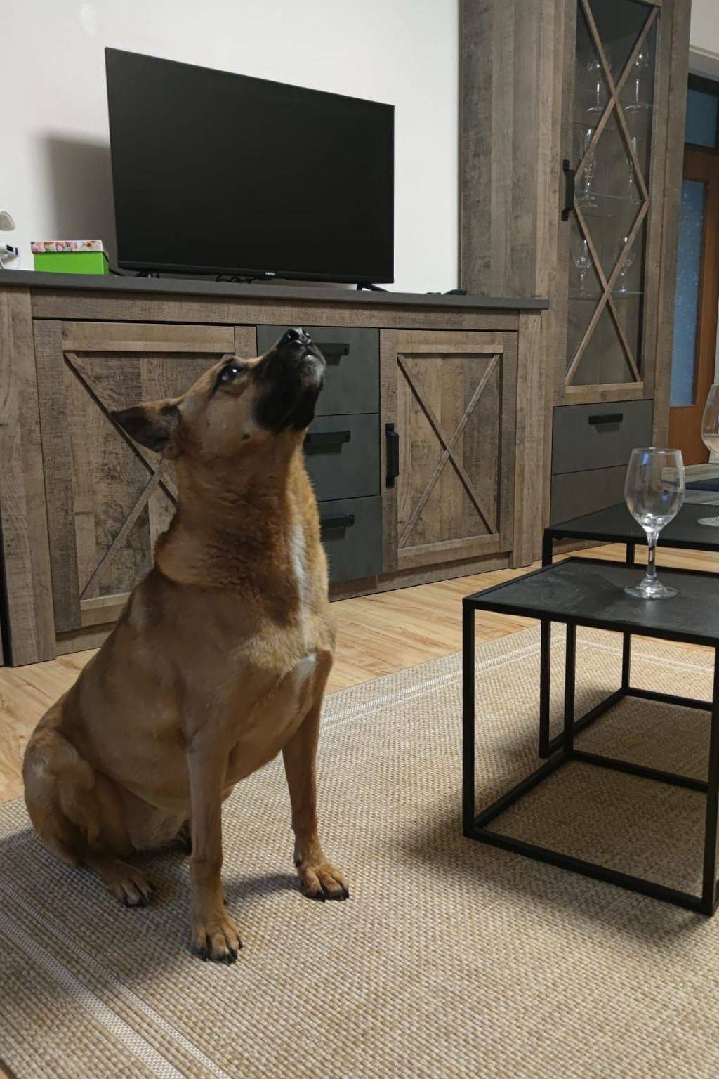 Entire apartment, Das Familienreich in Aurich, Nordseeküste