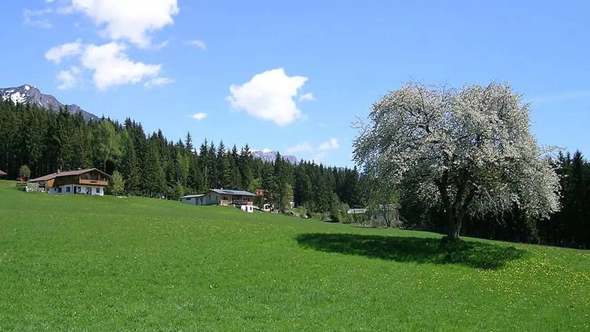 Ferienwohnung für 5 Personen, mit Terrasse in Ramsau am Dachstein - 2