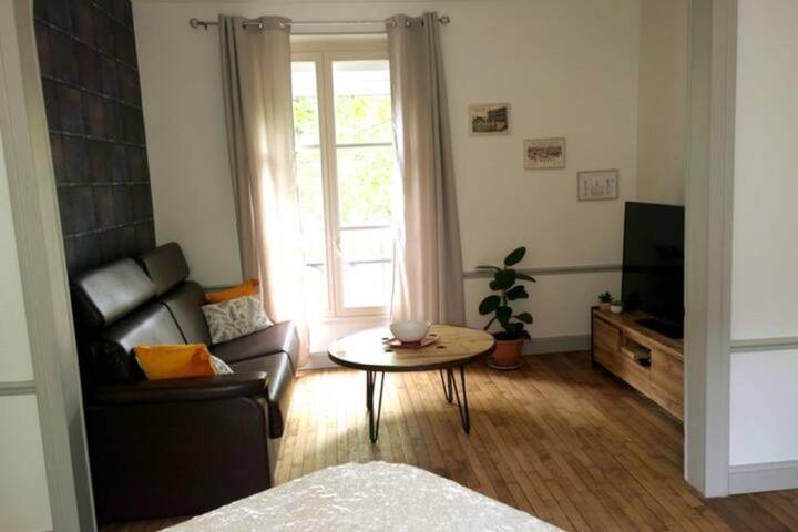 Gîte pour 6 personnes, avec terrasse, animaux acceptés à Sainte-Savine - 3