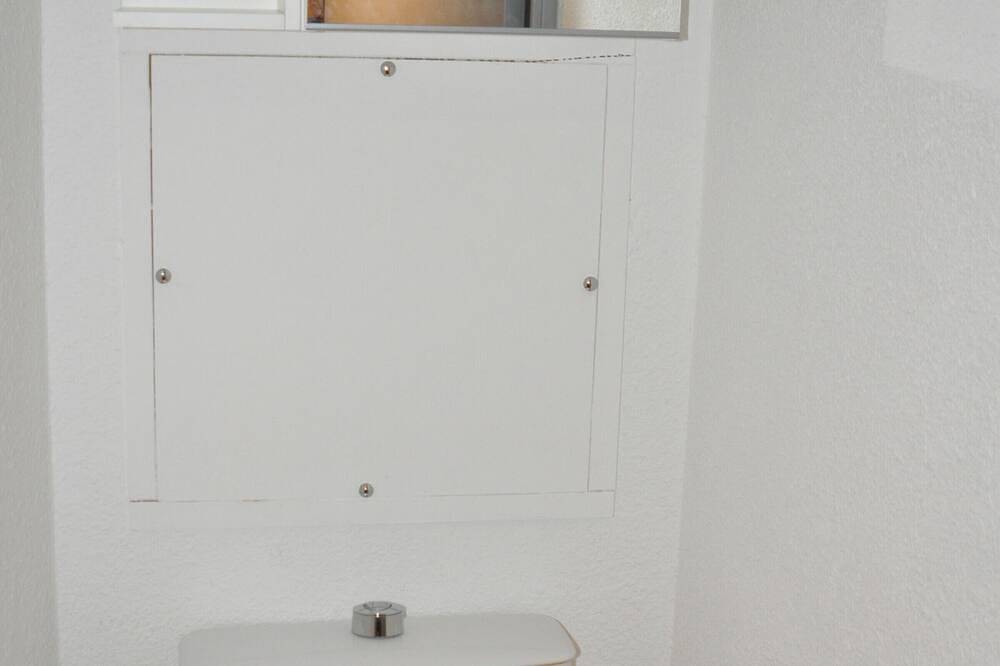 Apartamento entero, Estudio cabina a pie de pistas, balcón, se admiten mascotas in La Ferrière, Le Pleynet