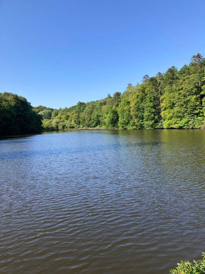 Gîte pour 32 personnes, avec terrasse et vue, animaux acceptés à Plounéventer - 2