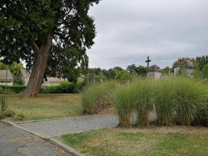 Gîte pour 6 personnes, avec terrasse à Petit-Palais-et-Cornemps - 4