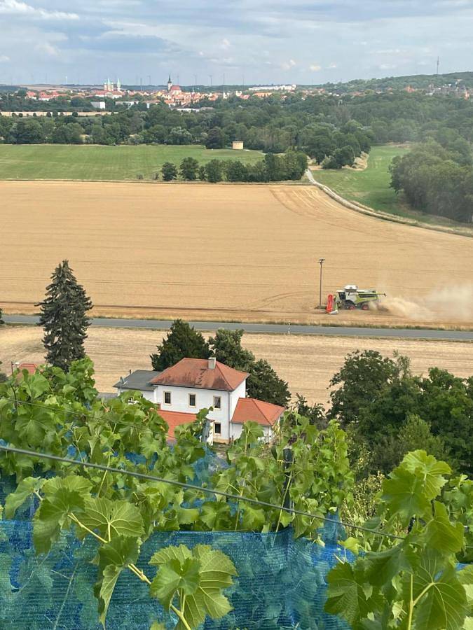 Ferienhaus für 8 Personen, mit Ausblick und Garten sowie Terrasse, mit Haustier in Saale-Unstrut - 3