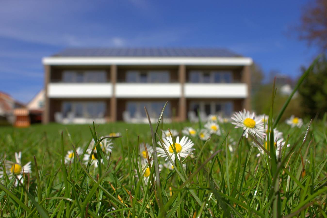 Ganze Ferienwohnung, Kleingarn - "Meeresblick"  Nr. 2 in Meeschendorf, Fehmarn