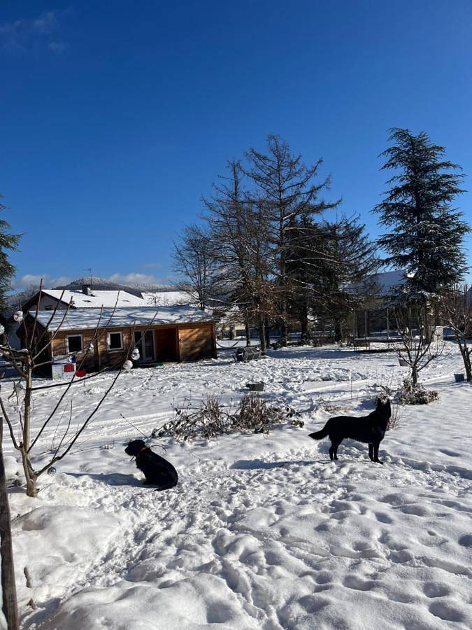 Chalet pour 9 personnes, avec piscine ainsi que jardin et vue dans Territoire de Belfort - 3