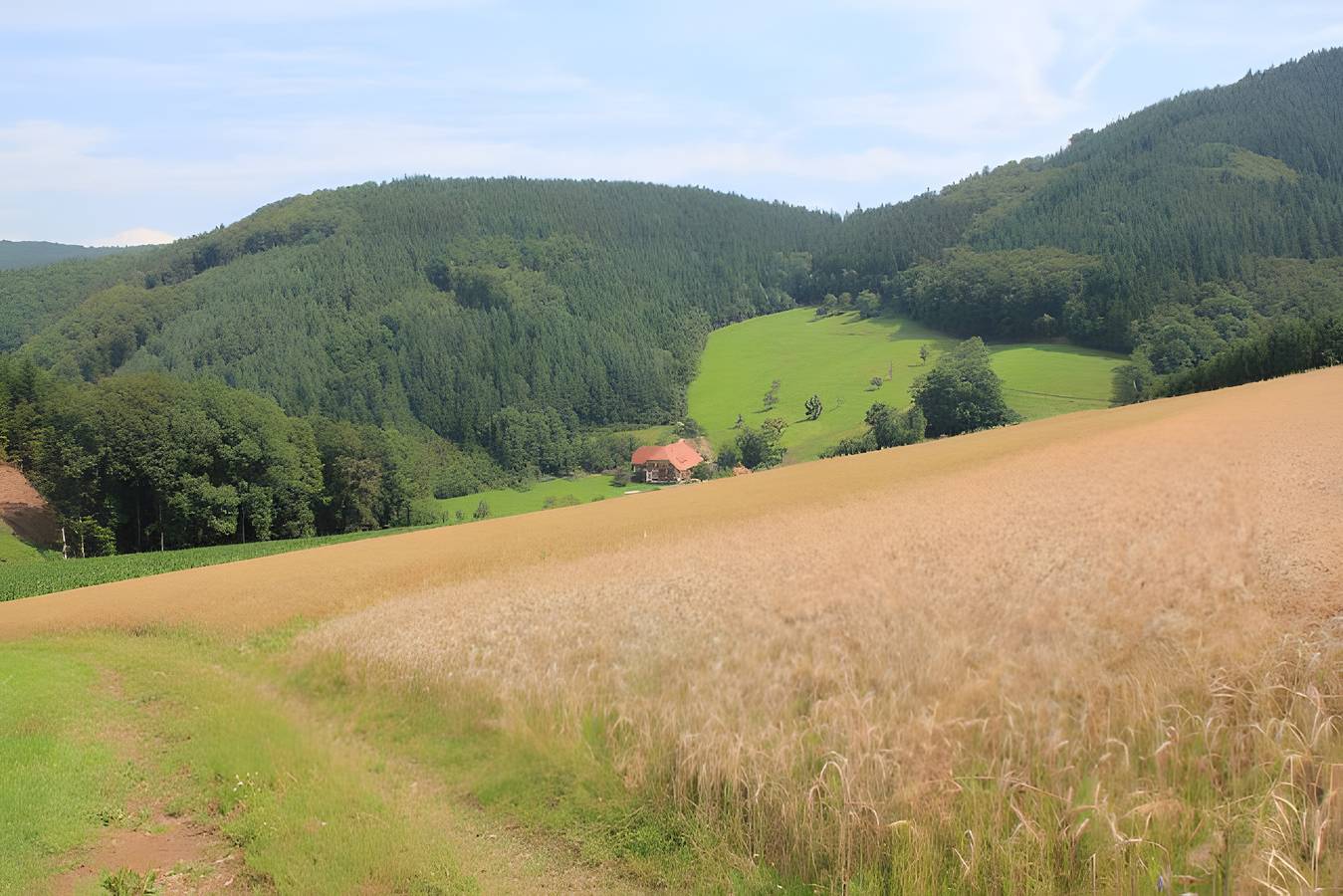 Geigerbauernhof - Ferienwohnung Schwalbennest in Muhlenbach, Foresta Nera centrale