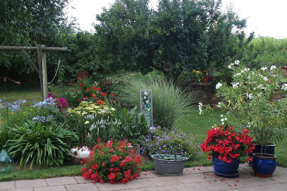 Bed and breakfast in Chatenois - center alsace in Châtenois (Bas-Rhin), Sélestat-Erstein region