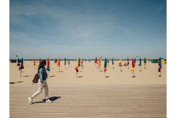 Agritourisme pour 3 Personnes dans Deauville, Côte Fleurie, Photo 3