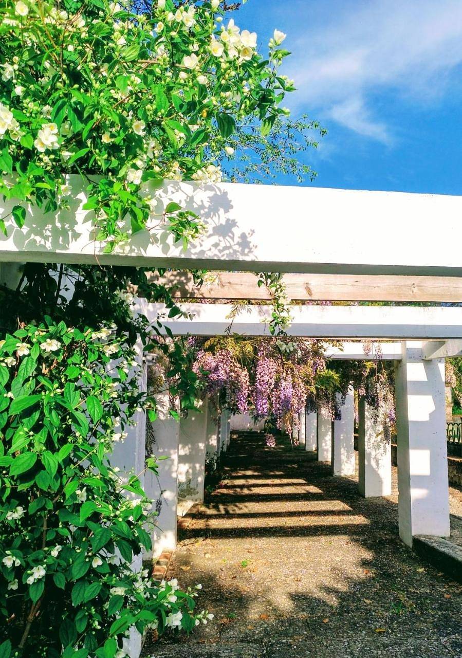 Casa Rural Castillo de Cáceres in Cáceres, Provincia de Cáceres