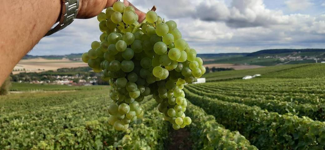 Chambre d’hôte pour 2 personnes, avec vue ainsi que terrasse et piscine dans Marne - 4