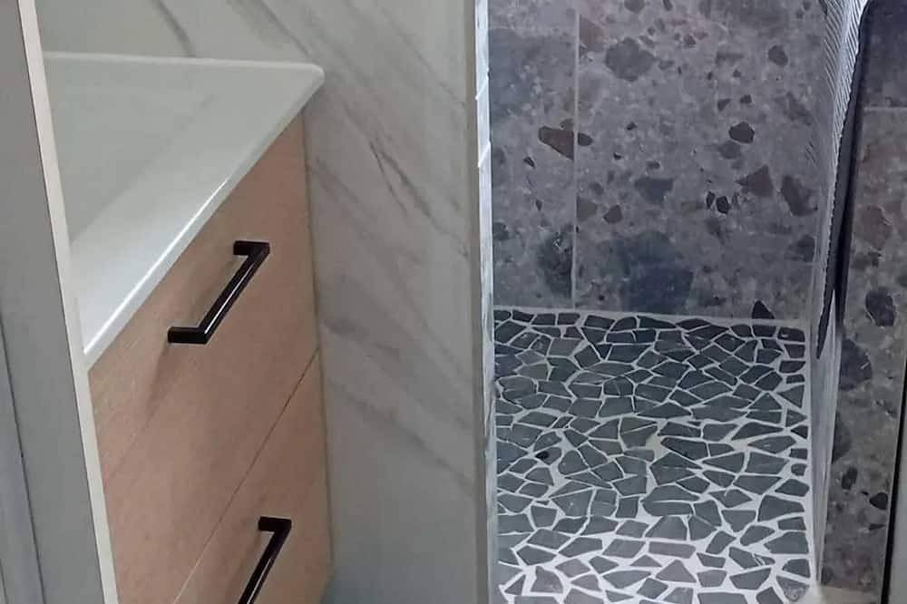 Appartement entier, Homerez - Charmant studio en montagne à Allevard - 30 m² avec balcon in Le Collet d'Allevard, Allevard