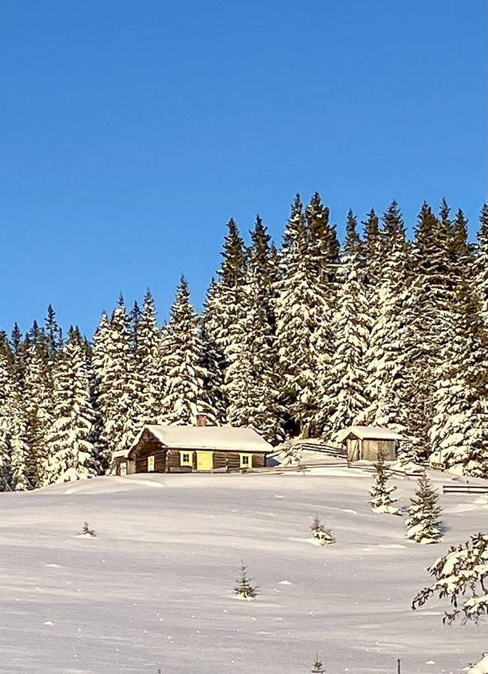 Skandinavische Hütte mit Skipisten direkt vor der Haustür in Gran