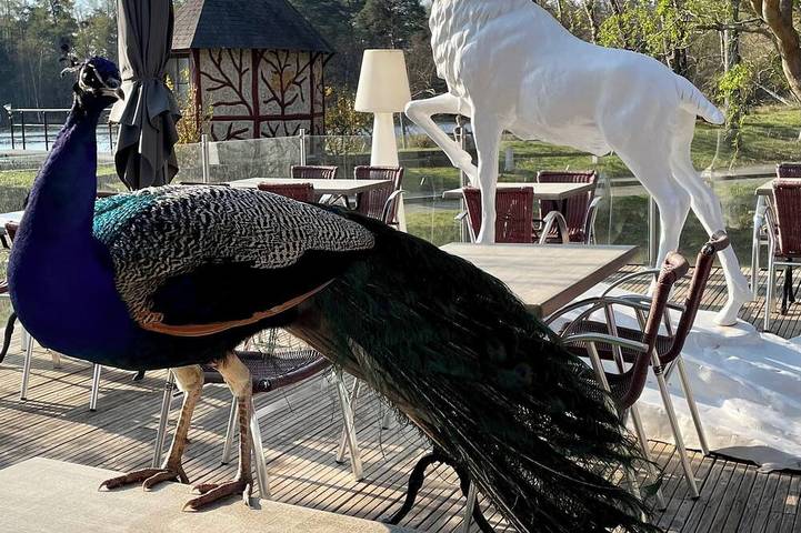 Gîte pour 5 personnes, animaux acceptés à Nouan-le-Fuzelier - 4