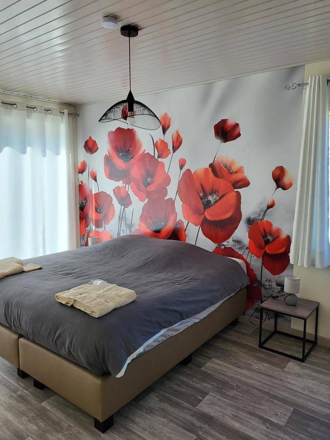 Mary's Poppies - Gîte au calme in Tournai, Hainaut