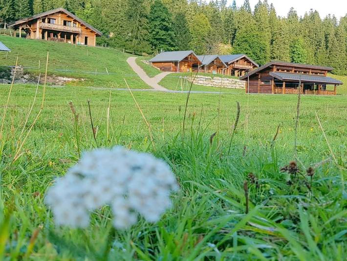 Hôtel pour 11 personnes, avec jardin, animaux acceptés