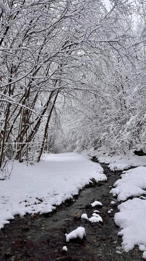 Gîte pour 4 personnes, avec balcon et vue dans Betren - 2