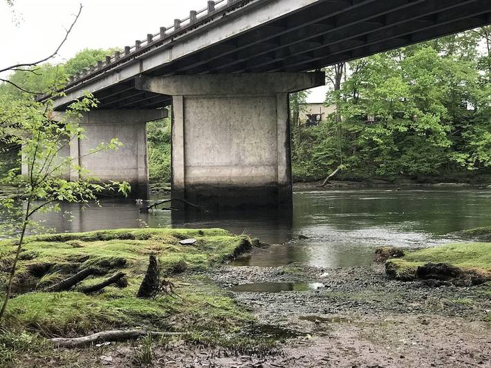 Vacation house for 9 people, with yard, with pets in Arkansas
