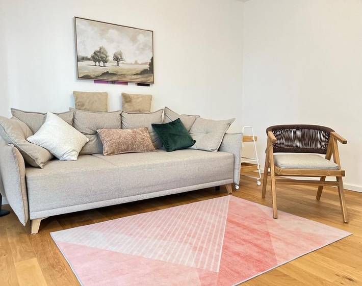Apartment for 4 people, with sauna and terrace, with pets in Frankfurt am Main