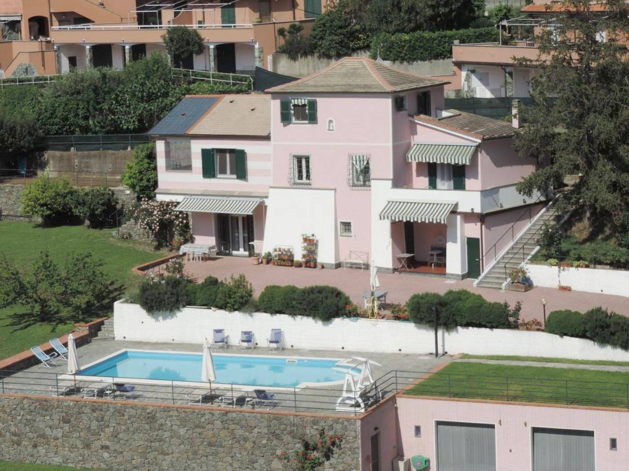 Rosmarino in Celle Ligure, Riviera di Ponente