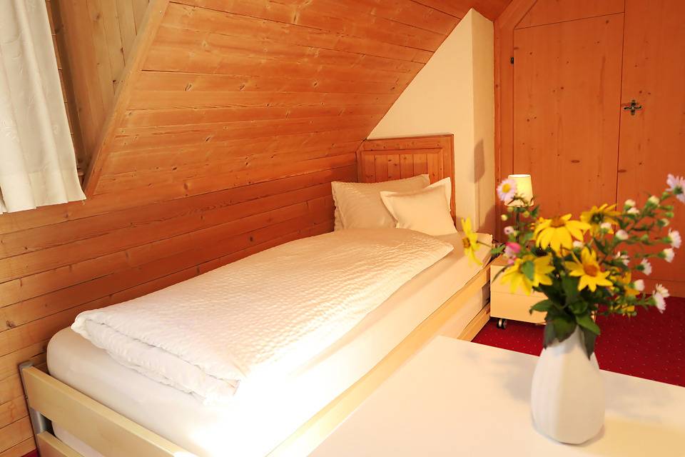 Hotel Gabriel - Double room with shower/toilet, medium in Scuol, Lower Engadine