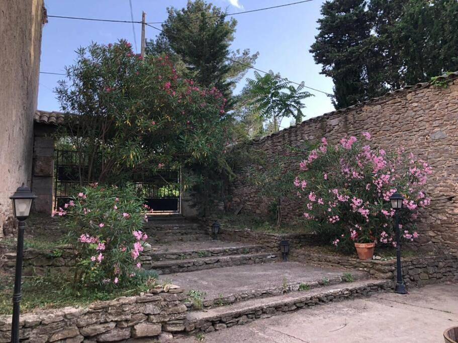 Haut de maison et piscine dans un domaine viticole in Montbrun-des-Corbières, Narbonne und Umgebung