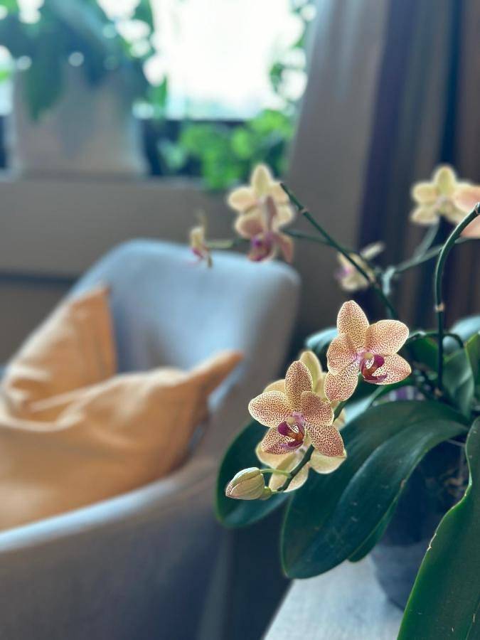 Maison d’hôte pour 3 personnes, avec jardin, animaux acceptés à Cocconato