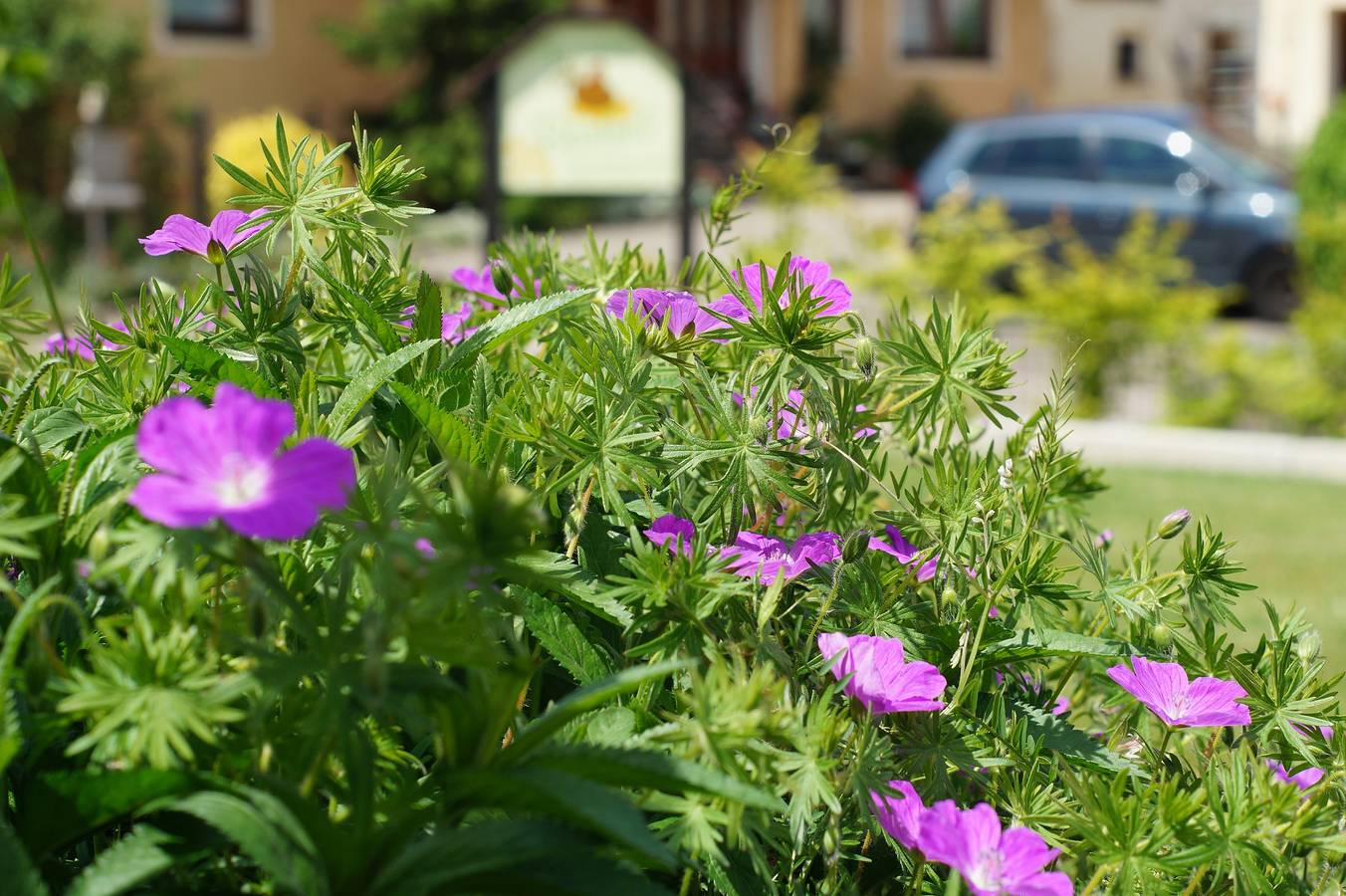 Ganze Wohnung, Ferienhof Barthel - Ferienwohnung 3 mit Doppelbett und Schlafcouch in Gunzenhausen, Fränkisches Seenland
