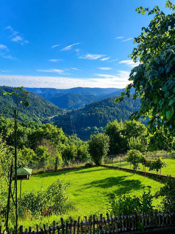 Gîte pour 4 personnes, avec terrasse et vue à Forbach - 2
