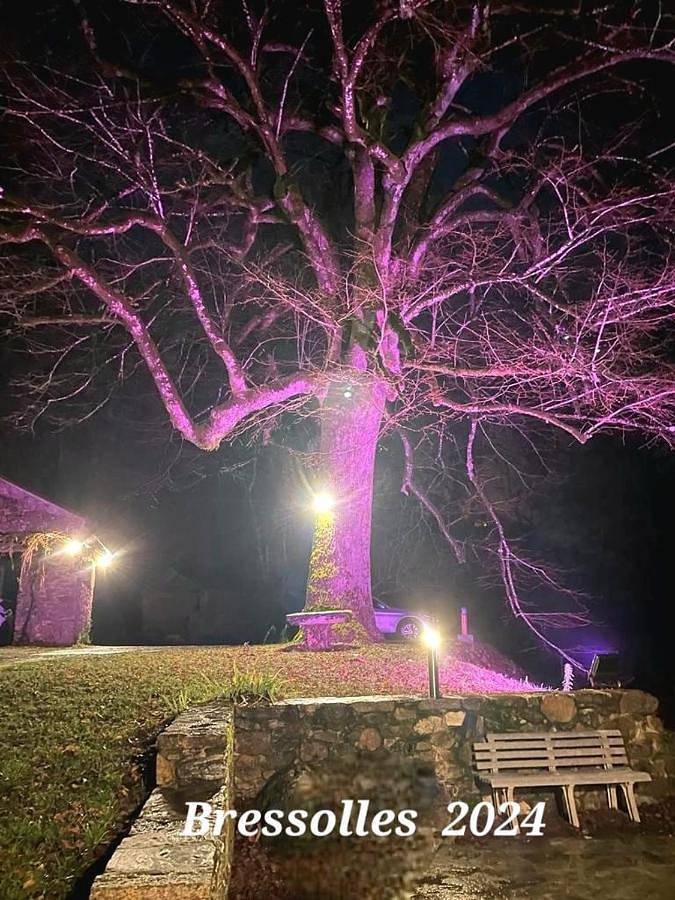 Location de vacances pour 12 personnes, avec jardin et vue ainsi que sauna et terrasse, animaux acceptés à Brassac (Tarn) - 4