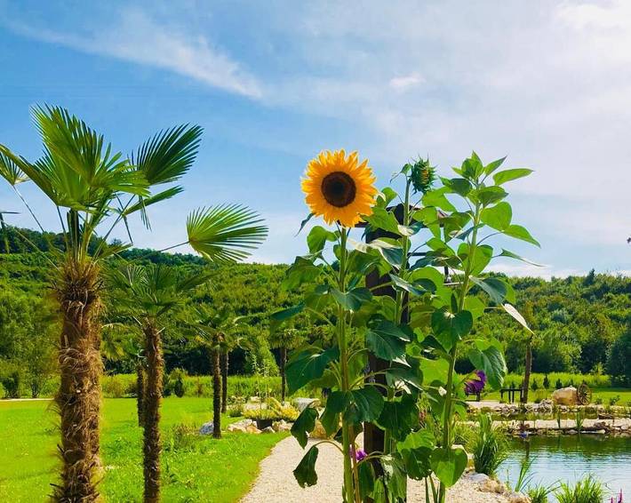 Appartement de vacances pour 4 personnes, avec Terrasse et Jacuzzi ainsi que Jardin et Piscine