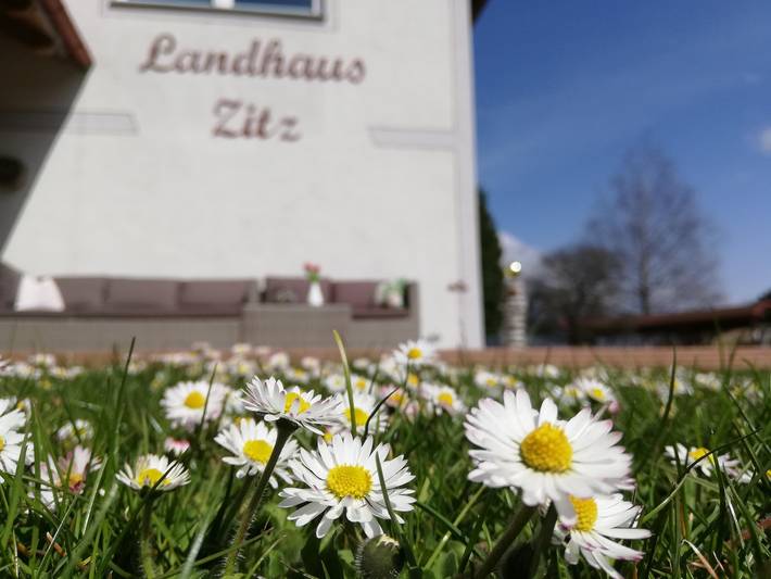 Ferienwohnung für 4 Personen, mit Balkon und Terrasse sowie Garten und Sauna