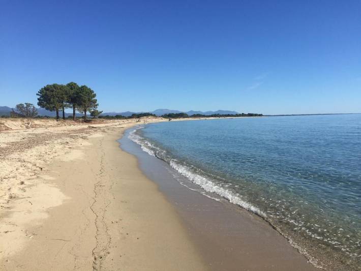 Villa Belle Vue, direkt am Meer, 1-2 Haustiere erlaubt in Cervione, Región de Corte