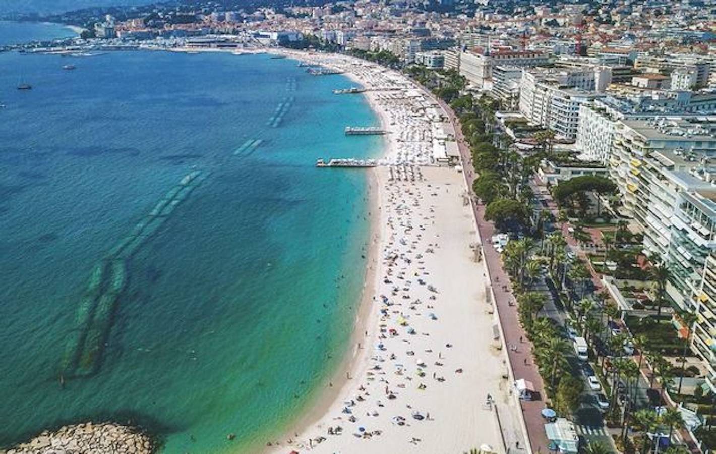 Studio entier, Cannes studio idéal congrès ou vacances in Cannes, Côte méditerranéenne (France)