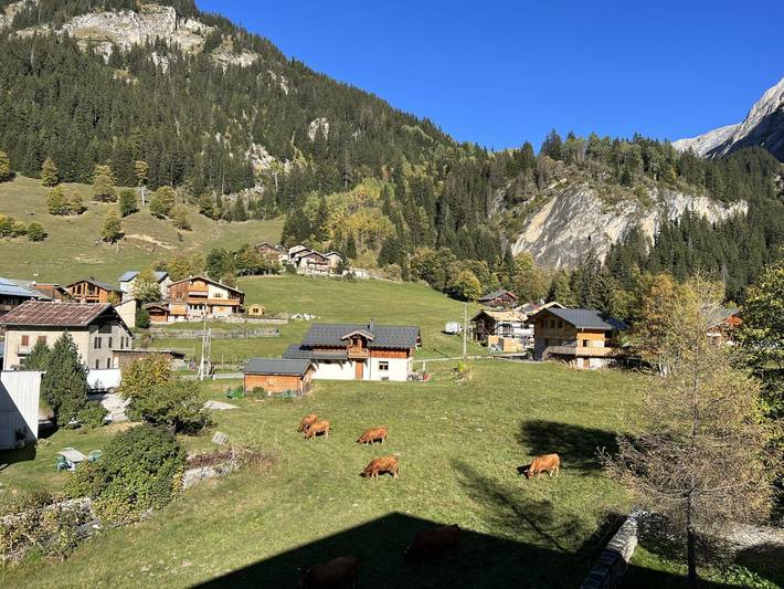 Gîte pour 6 personnes, animaux acceptés à Pralognan-la-Vanoise - 2