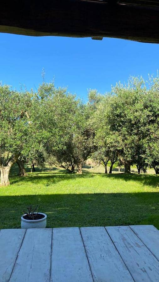 Delizioso Casale a Capalbio in Capalbio, Provincia di Grosseto
