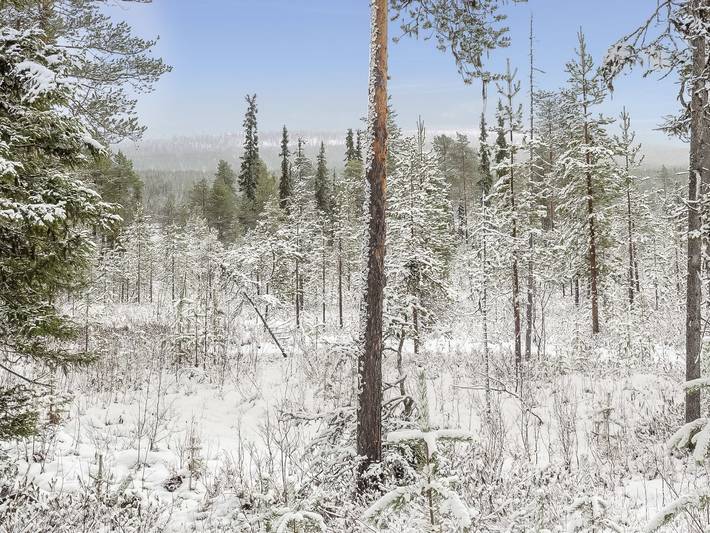 Teppolan rinne in Salla, Lappland