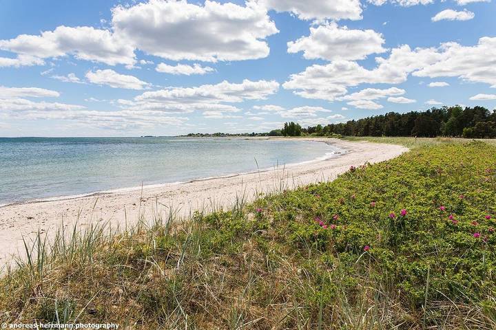 Ferienhaus für 4 Personen, mit Terrasse und Garten in Gotland - 3