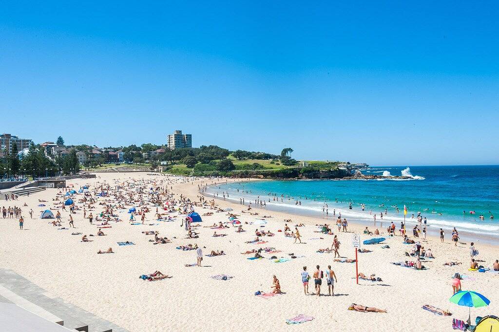 Ganze Wohnung, The Arden 1 Coogee. New Spacious Garden Apartment, Moments to Beach in Sydney, New South Wales