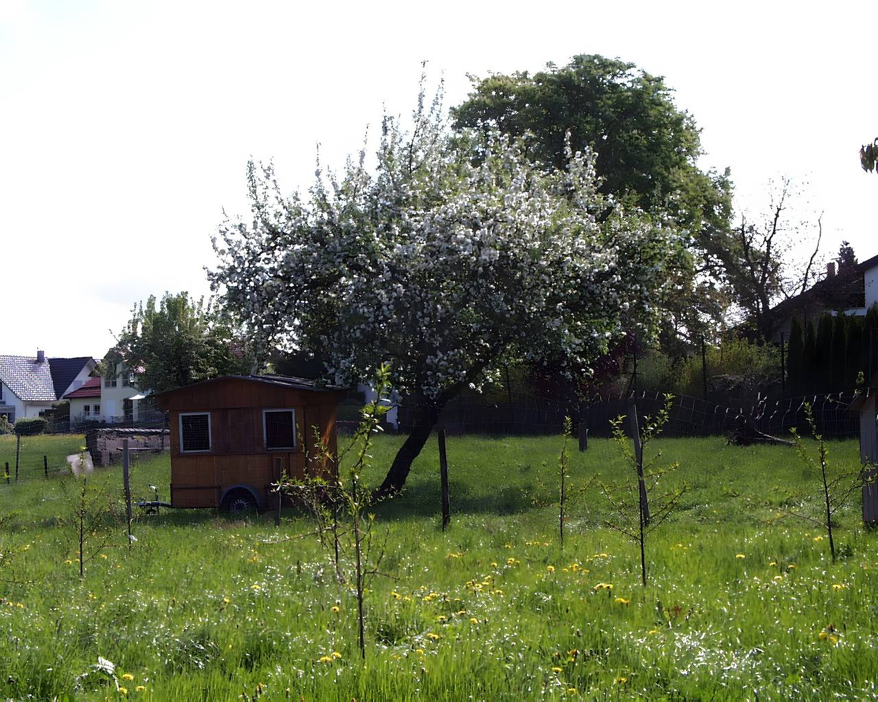 Appartement '1' met gedeelde tuin, balkon en Wi-Fi, foto 10
