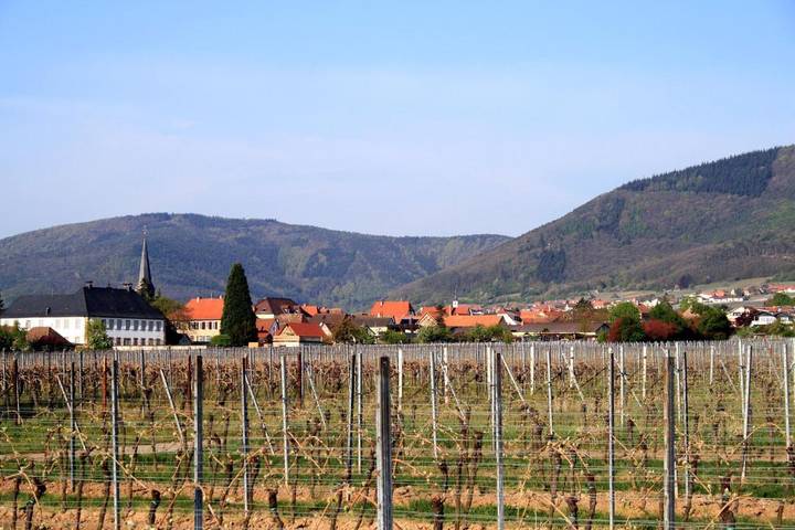 Ferienwohnung für 3 Personen, mit Balkon und Terrasse sowie Ausblick in Rhodt unter Rietburg - 4