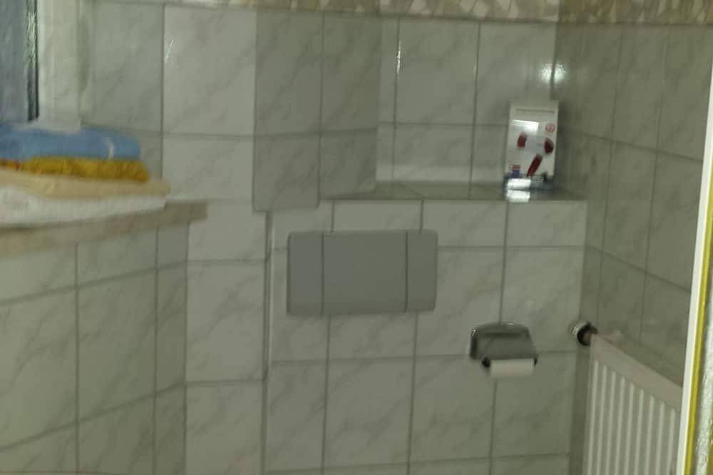 Ganze Wohnung, Fewo Dg, Dusche, Wc, Wohn-/Schlafraum - Ferienwohnungen Hochmuth in Plauen, Chemnitz und Umgebung