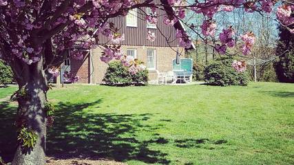 Ferienwohnung für 2 Personen, mit Garten und Terrasse sowie Ausblick in Jork