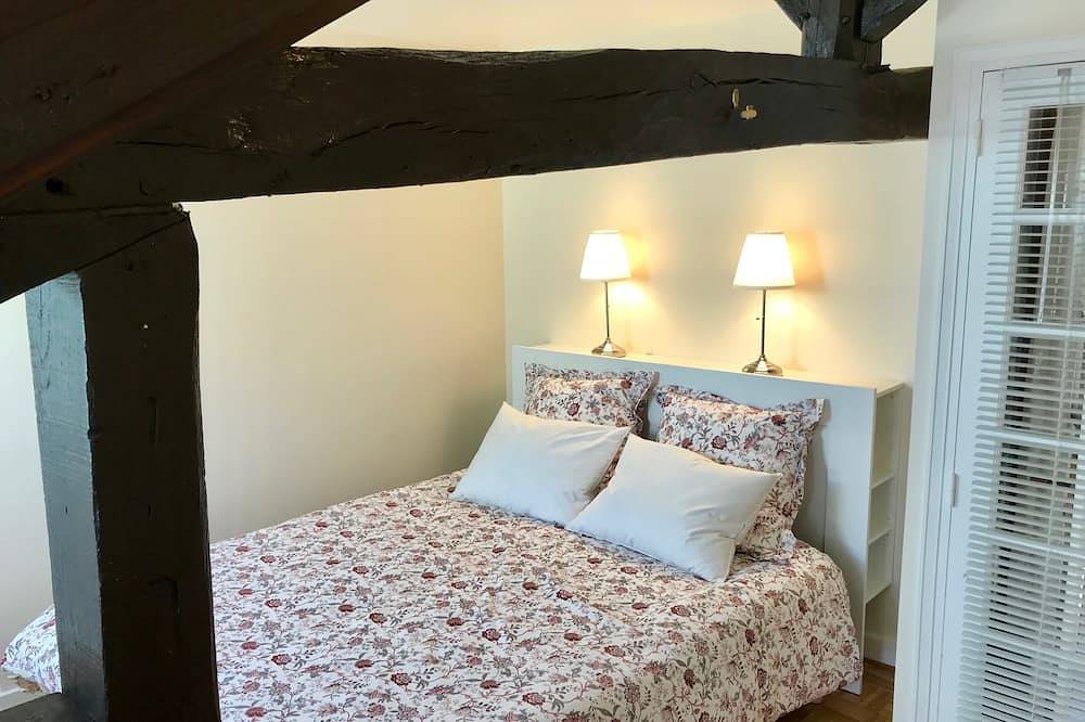 Ganze Wohnung, Old Chinon Charming Apartment 70 M2 Redone in Chinon, Loire-Tal