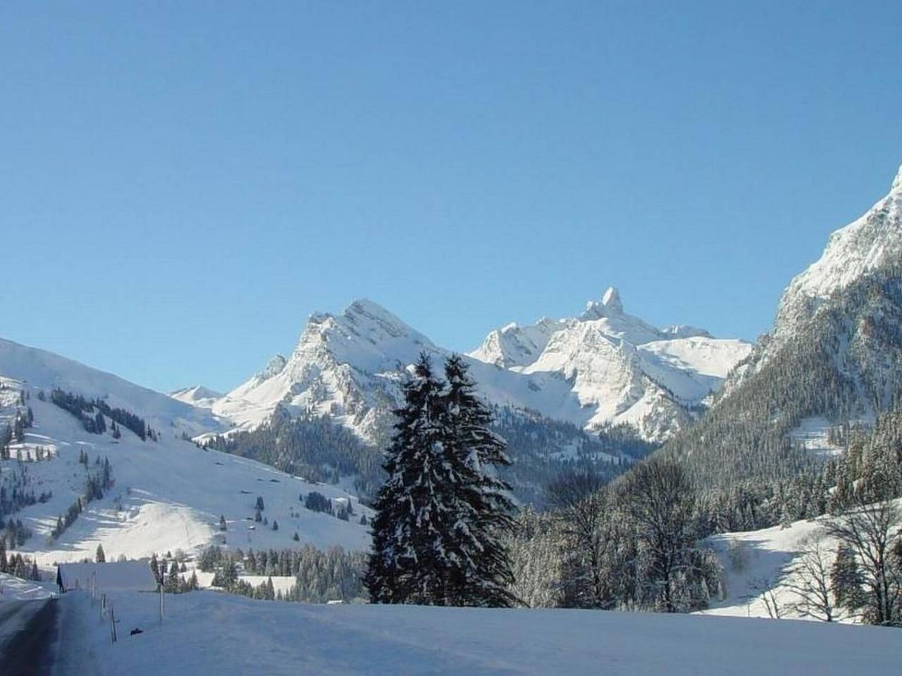 Ganze Wohnung, Appartement Eggmatte in Diemtigen, Frutigen - Lenk - Adelboden