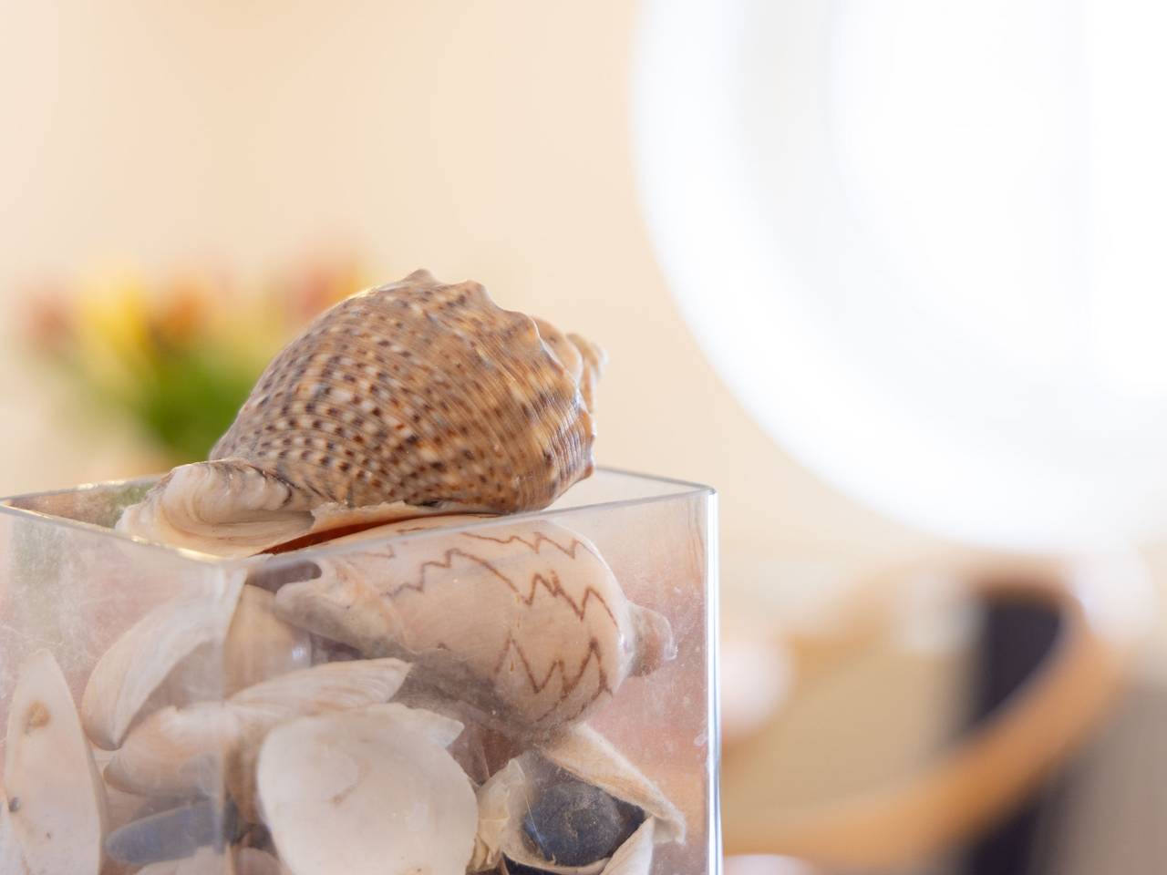 Ganze Wohnung, Jeschek in Ostseebad Koserow, Koserow