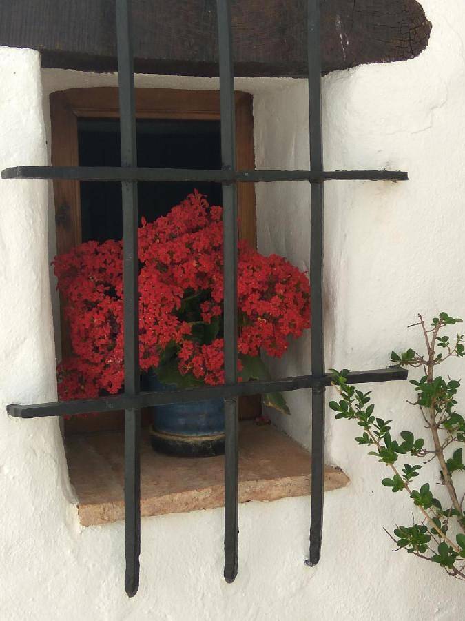 Casa rural para 2 personas en Sierra de Grazalema - 4