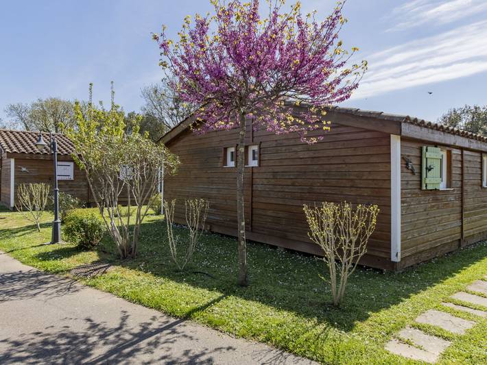 Location de vacances pour 5 personnes, avec terrasse ainsi que bassin pour enfant et sauna, animaux acceptés à Lagorce - 3