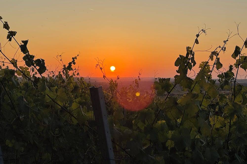 Ganze Wohnung, Panorama 180° in Kitzingen, Fränkisches Weinland
