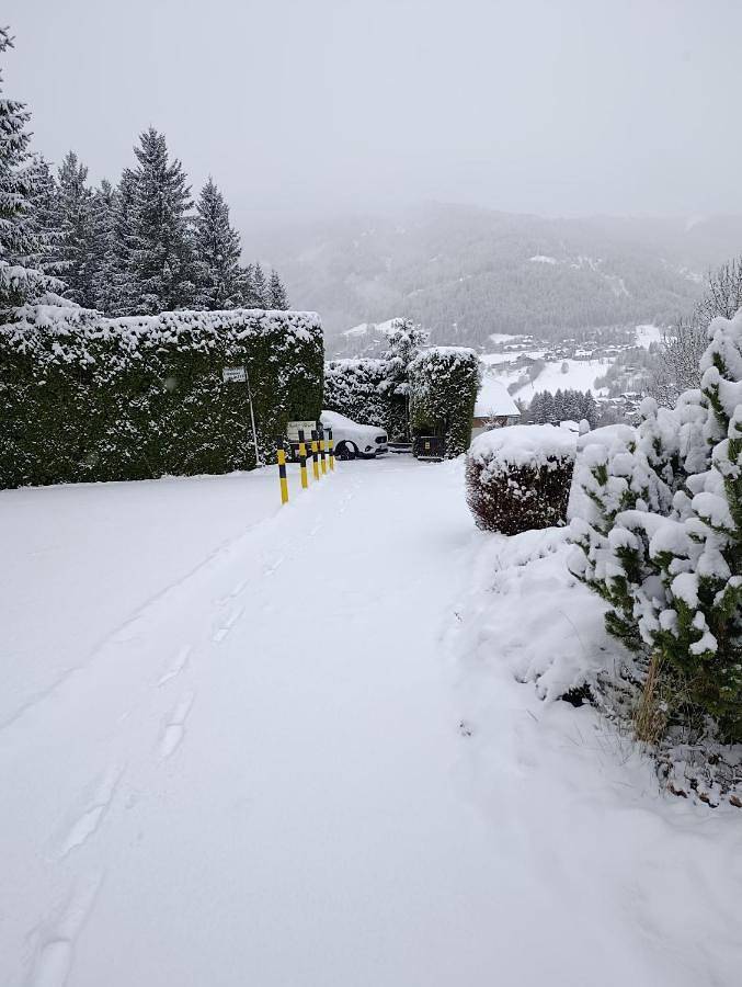 Chalet für 6 Personen, mit Garten und Ausblick, mit Haustier in Bad Kleinkirchheim - 2